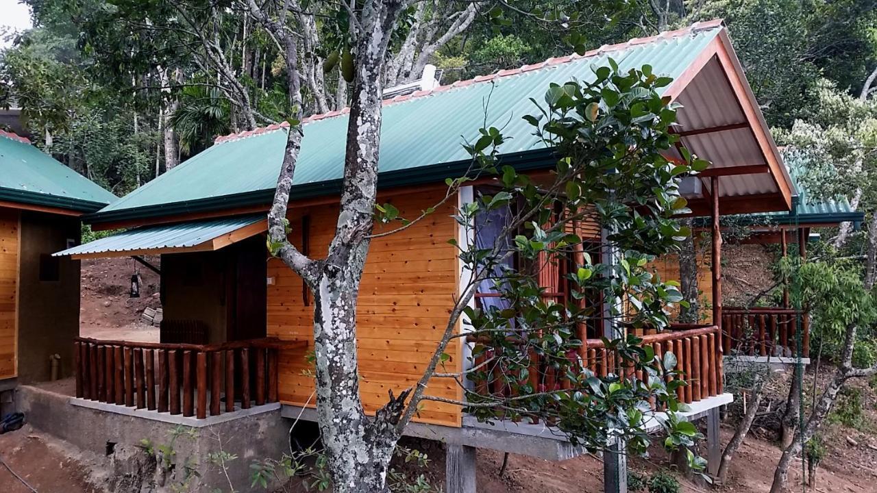 אלה Saffron Eco Cottage מראה חיצוני תמונה